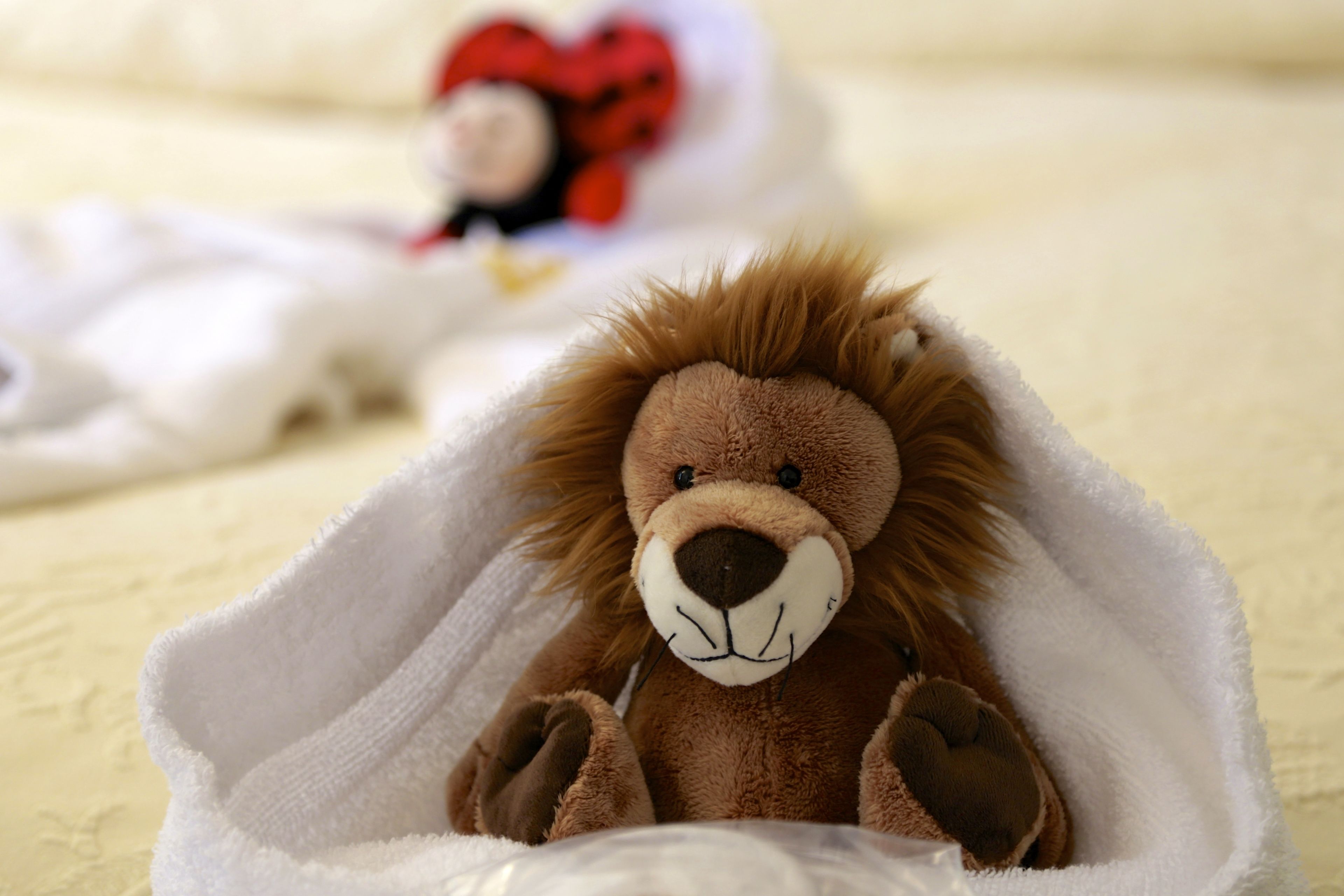 children’s activities