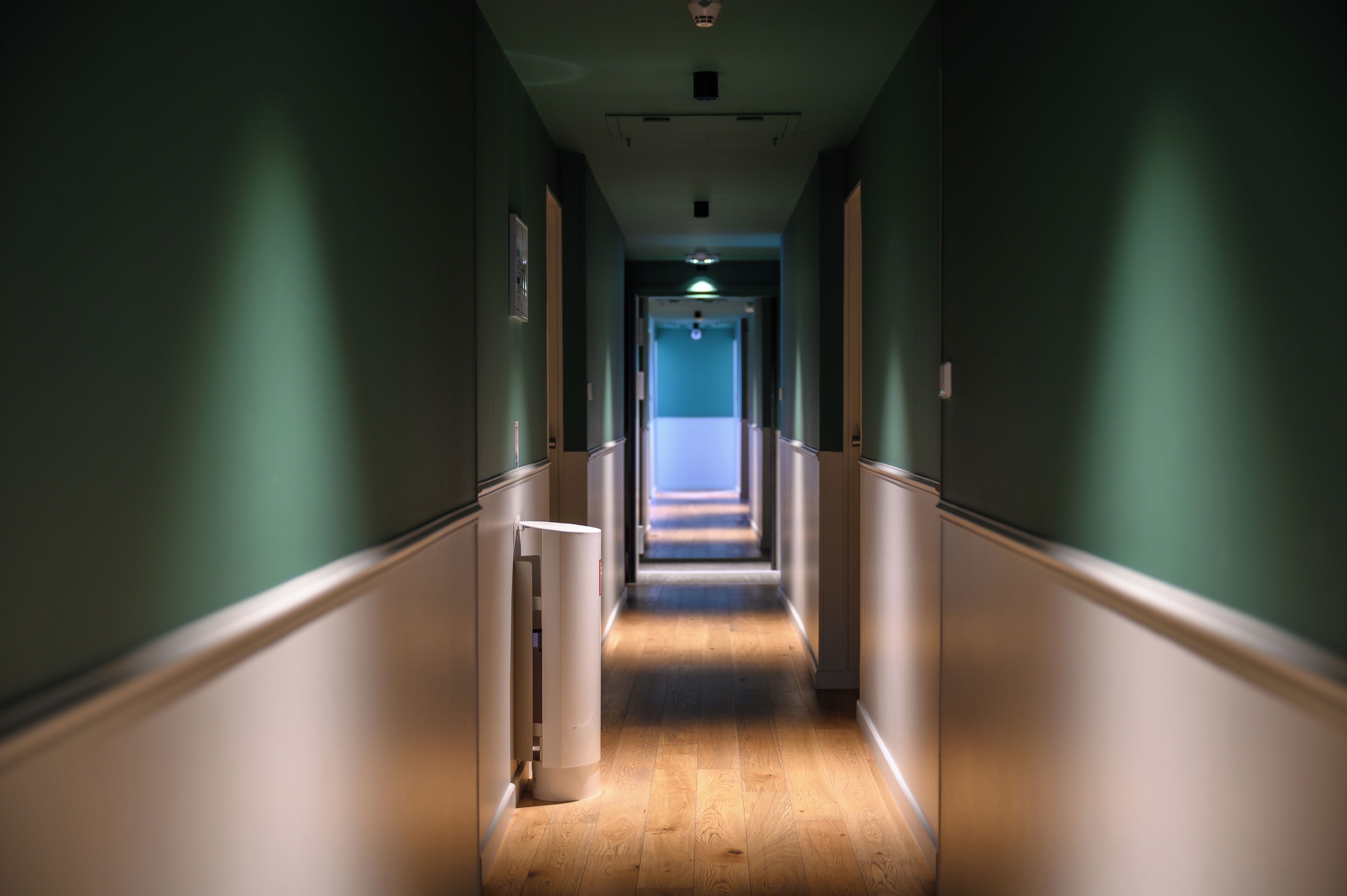 handrails in hallways