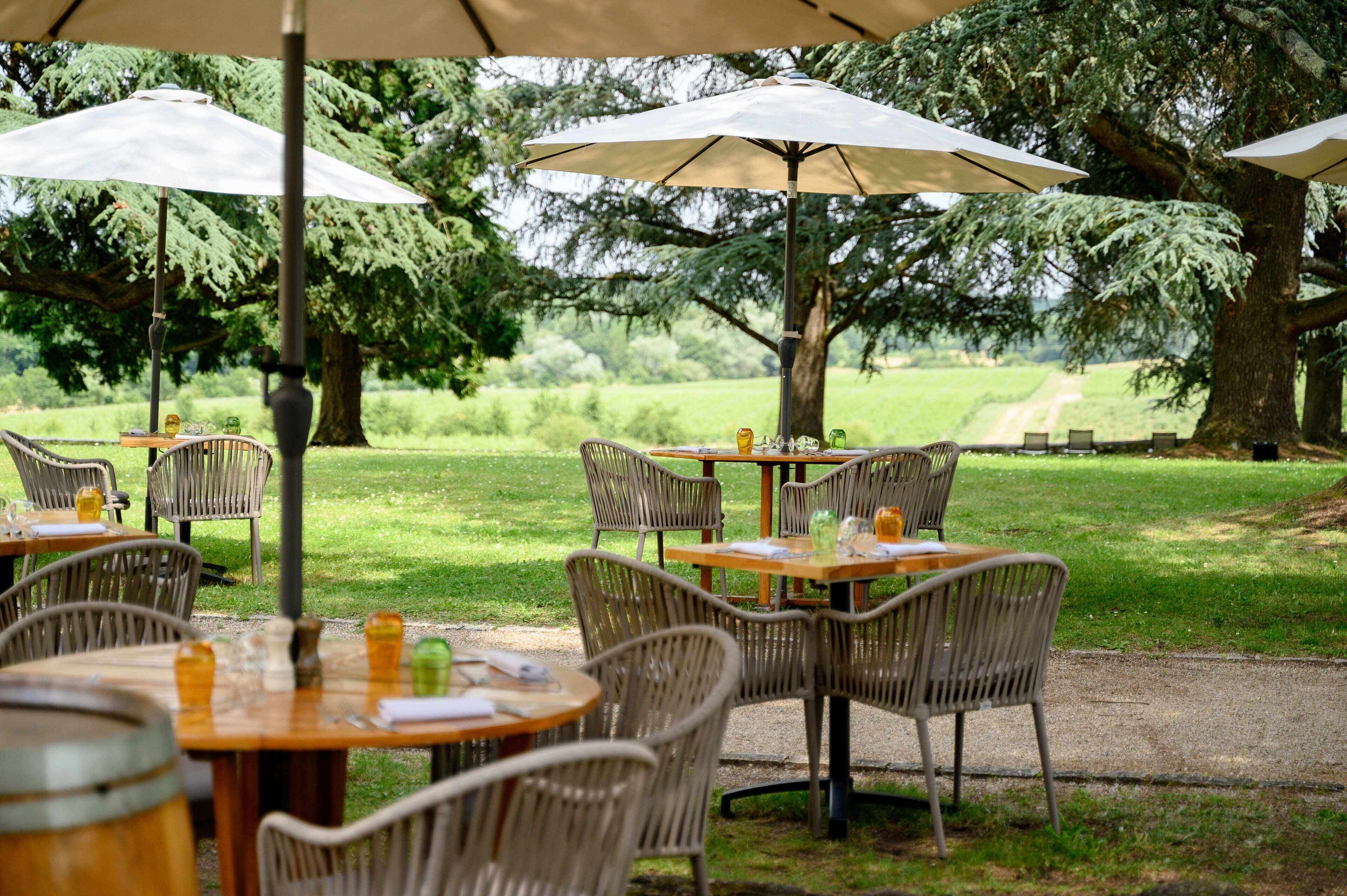 lunch, dinner served; regional cuisine, garden views