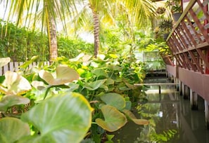 Un jardín acuático con abundante follaje y una terraza de madera.