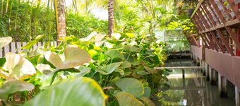 와라콘 반수안 - 암파와