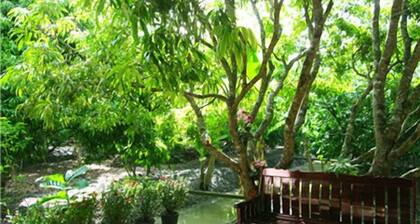 Warakorn Baansuan - Amphawa