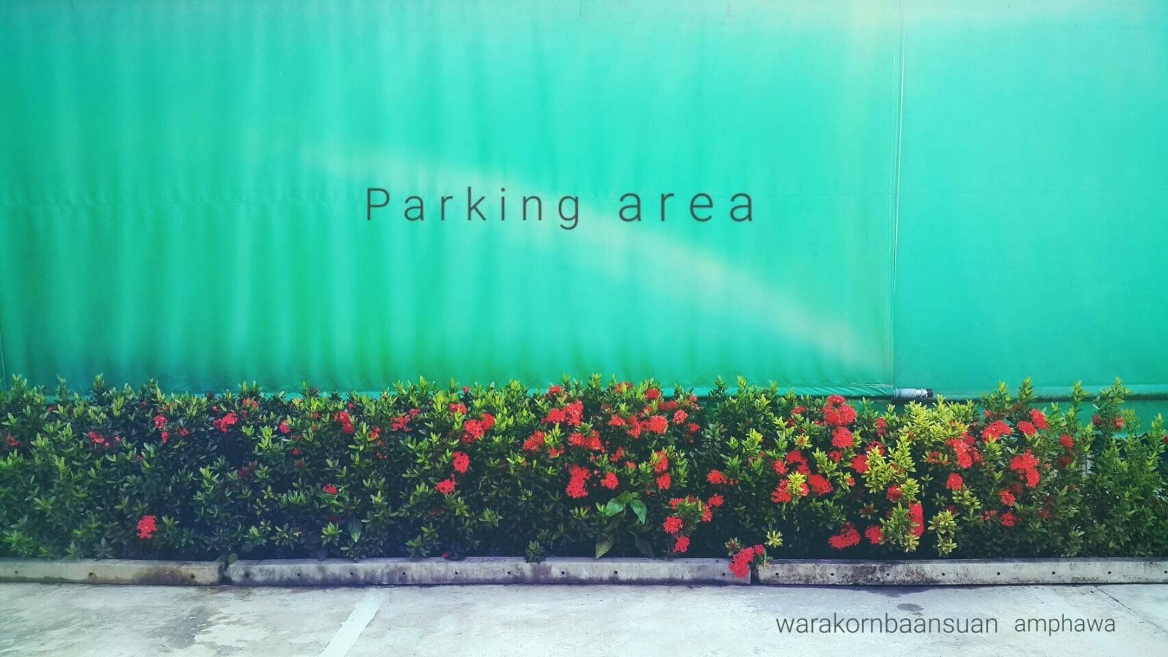 free self-parking