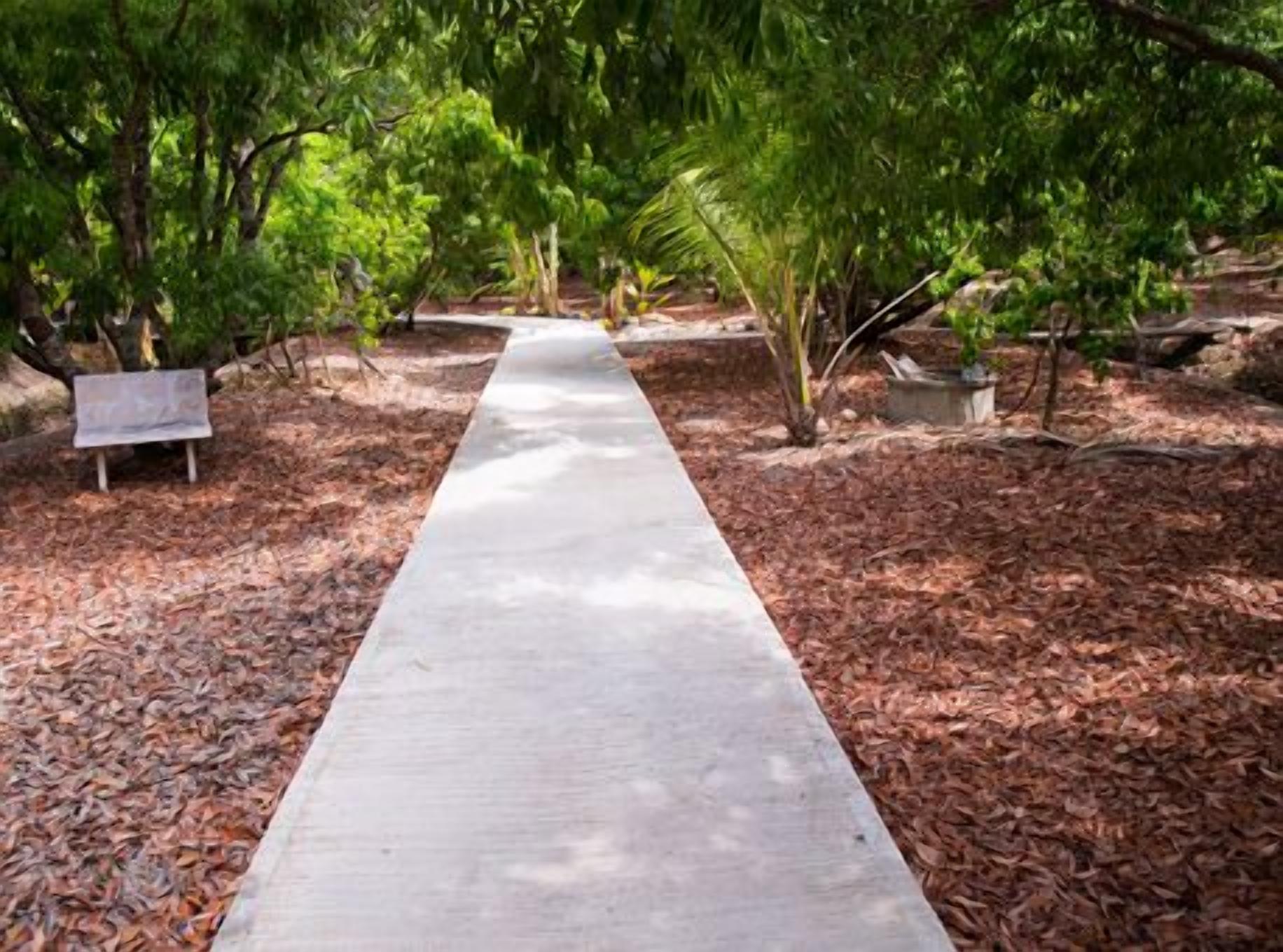 Un sendero que atraviesa un jardín con árboles y un banco.