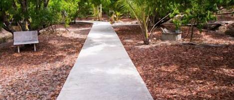 Un sendero que atraviesa un jardín con árboles y un banco.