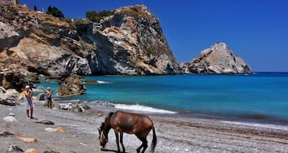 Skiathos Club Hotel Suites