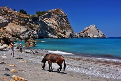 Skiathos Club Hotel Suites