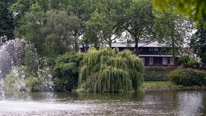 A serene pond with a weeping willow tree and a house in the background. - Hotel Edenpark (Brunssum)