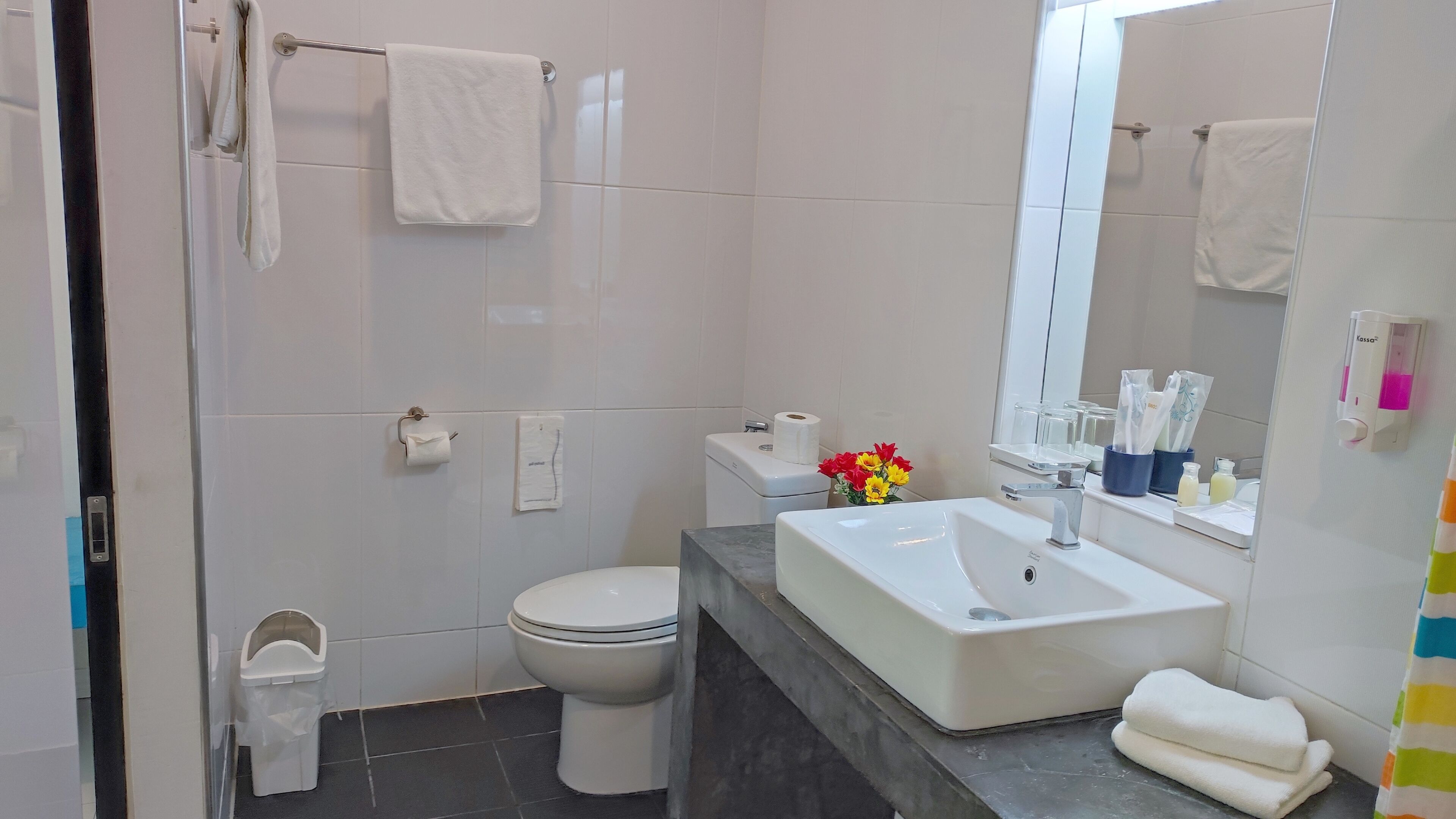 shower, free toiletries, hair dryer, slippers