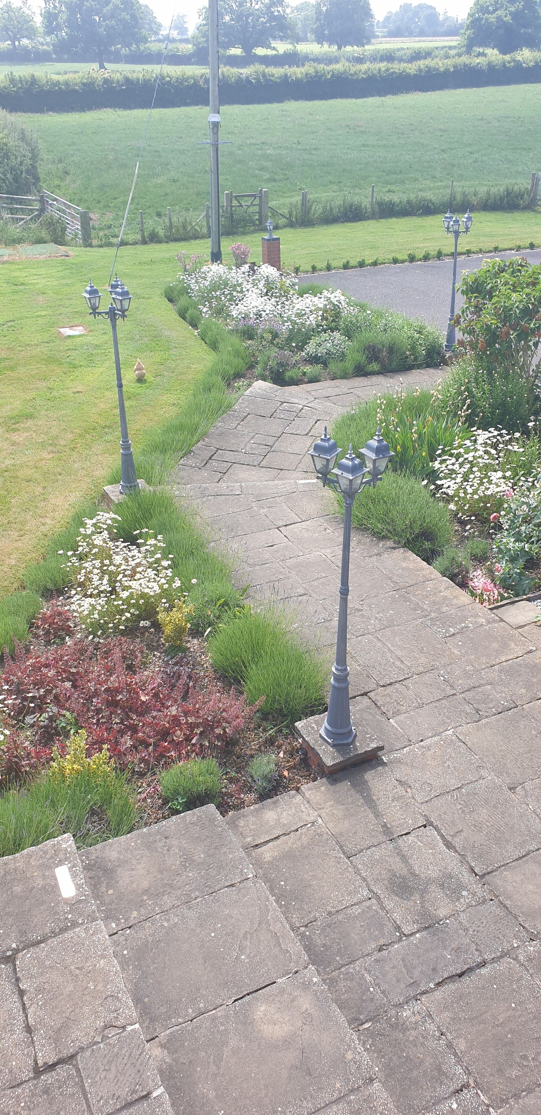 Ein gepflasterter Weg führt zu einem Garten mit einer Lampe und einem Blumenbeet.
