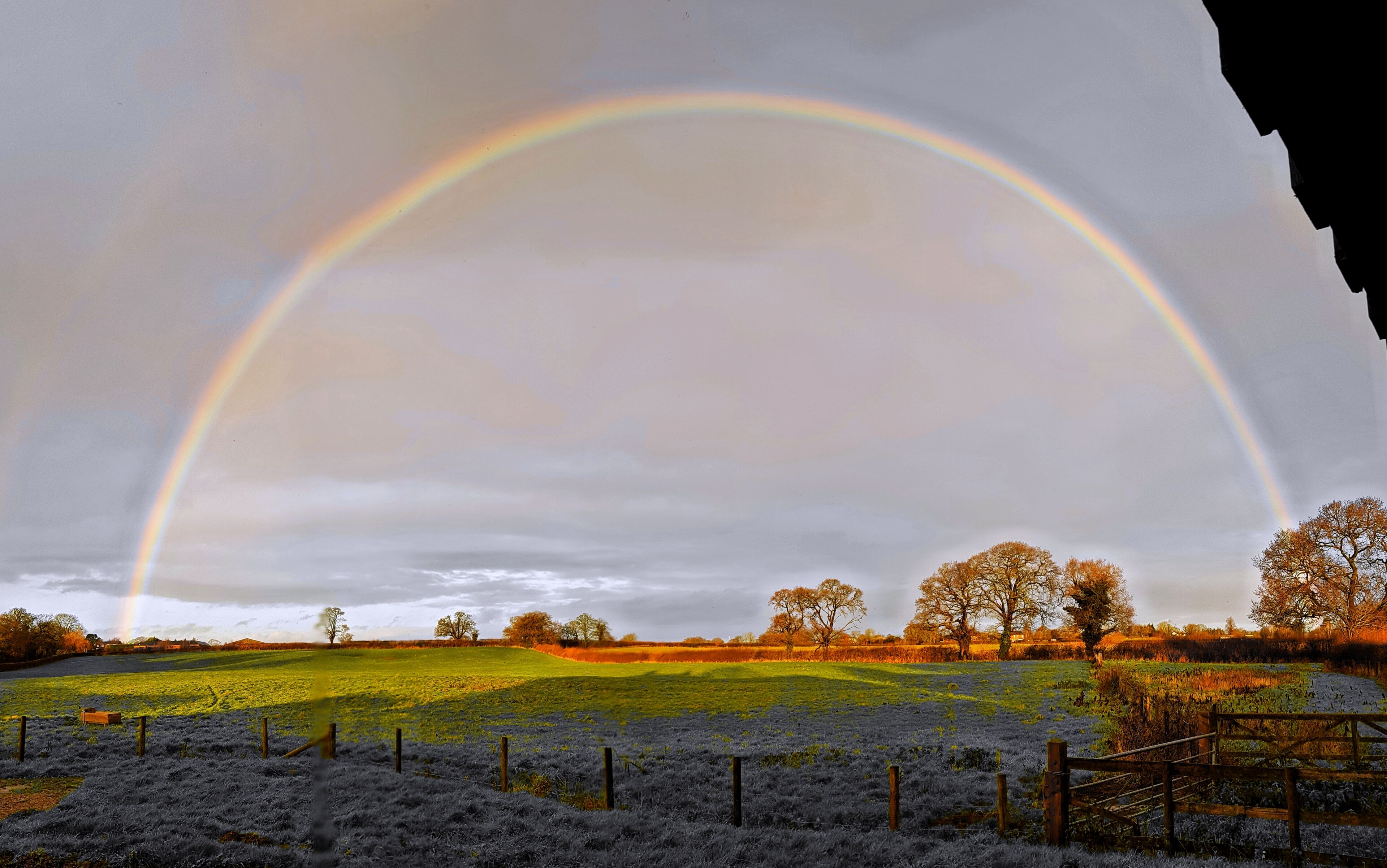Een landelijk landschap met een regenboog boven een veld en bomen.