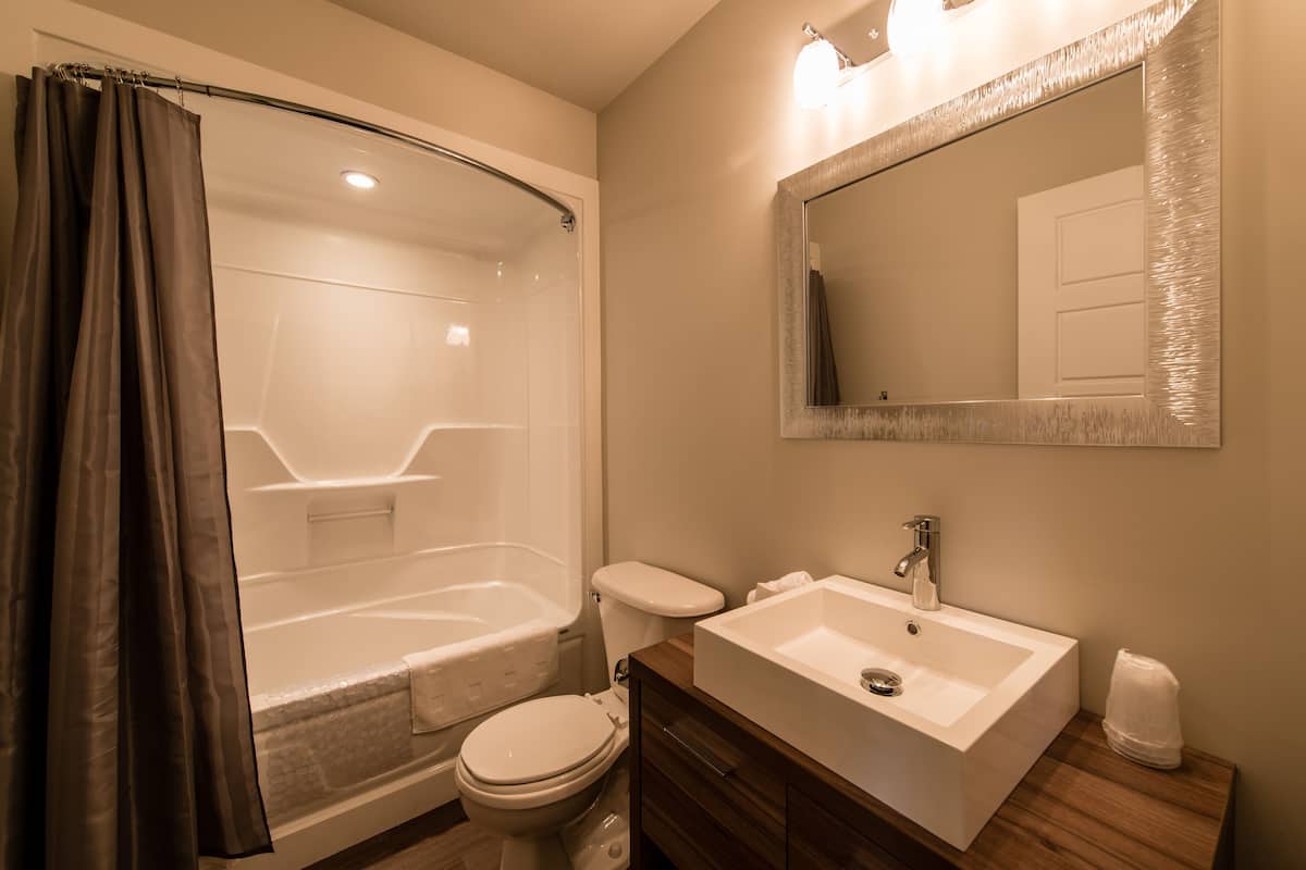 combined shower/bathtub, hydromassage showerhead, hair dryer, towels