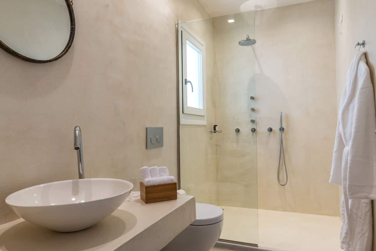 shower, hydromassage showerhead, designer toiletries, hair dryer