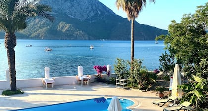 Ford Hotel - Special Class