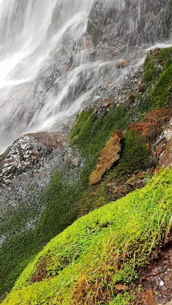 Mysten Kepen B&B by null