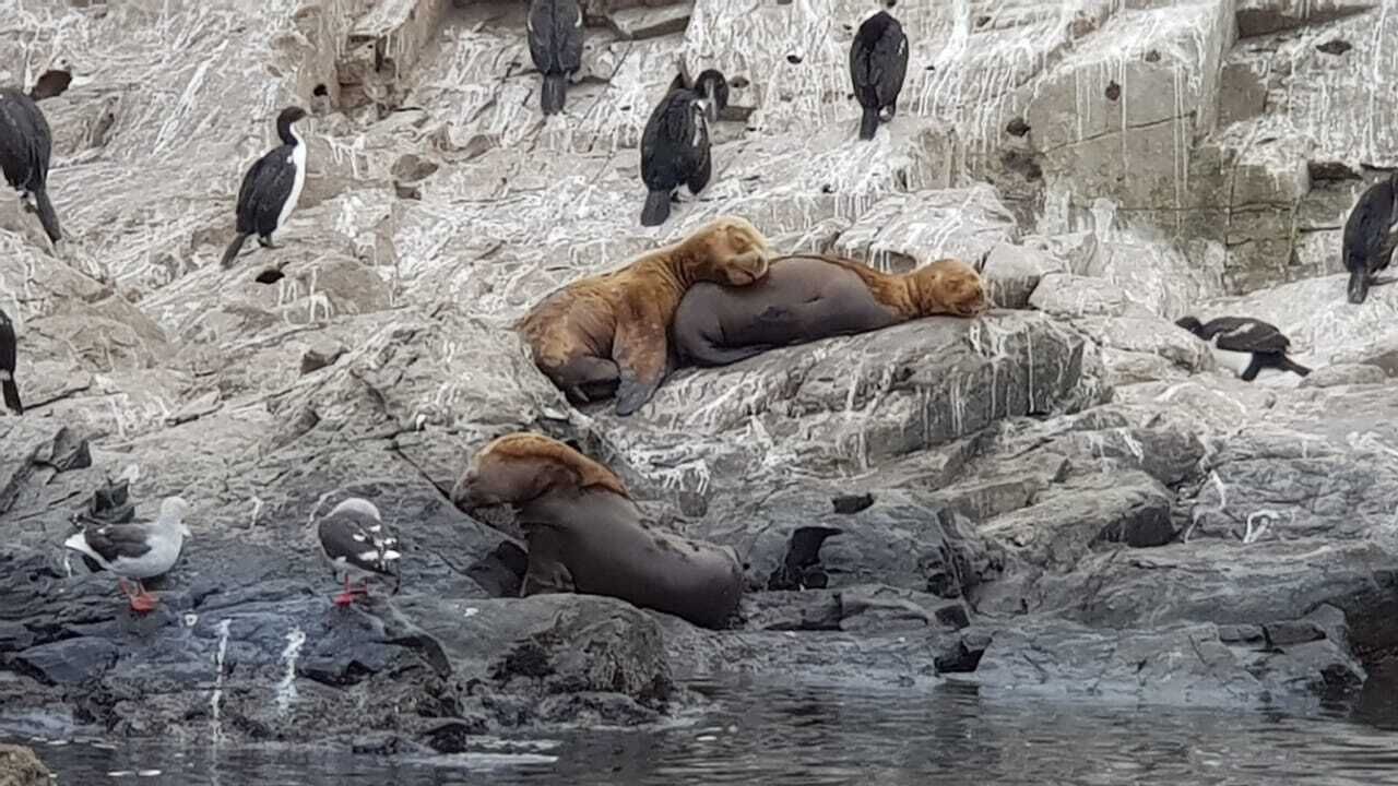 Photo - Mysten Kepen B&B