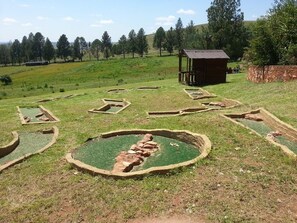 Mini-golf