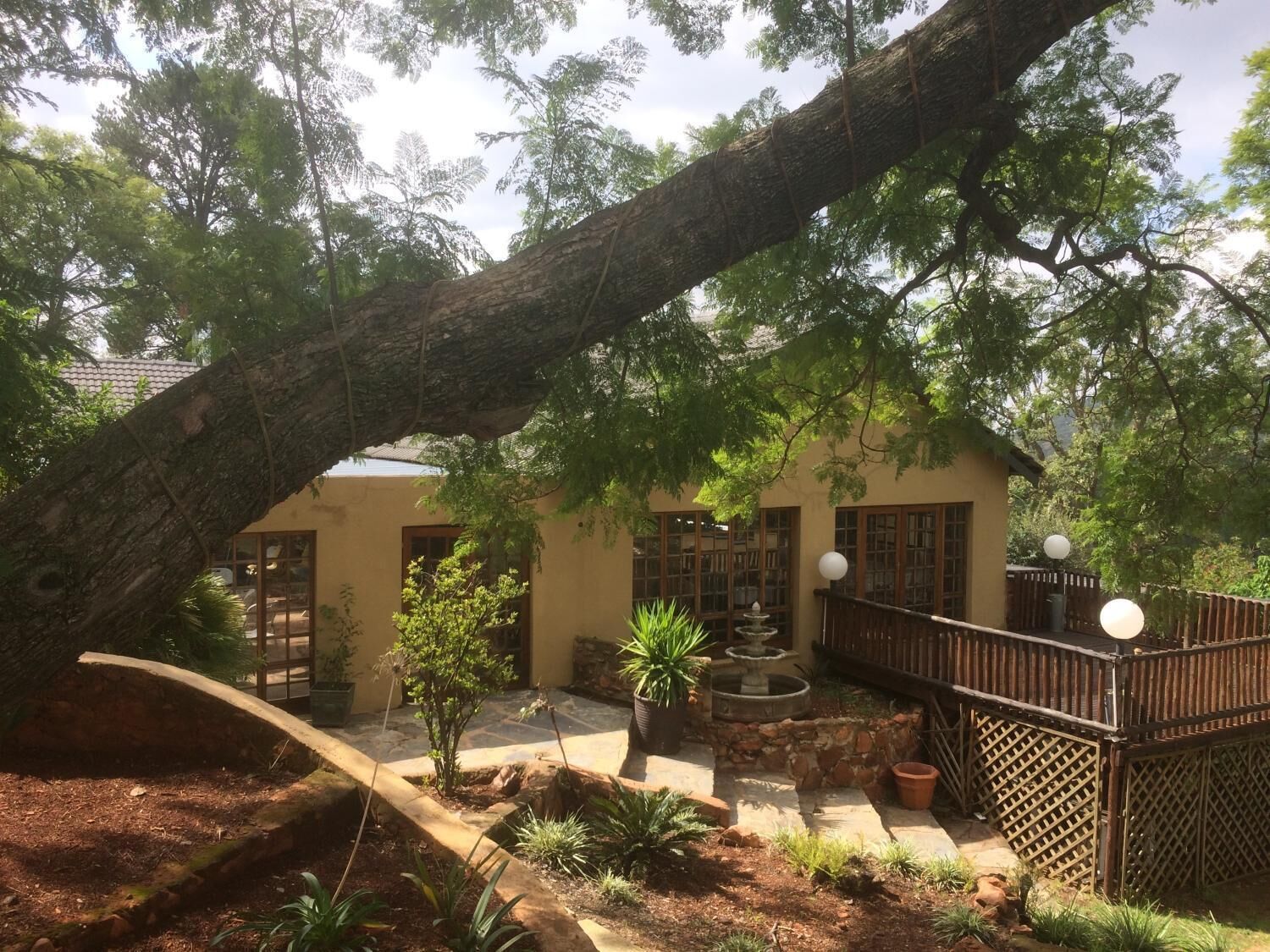 Parco della struttura