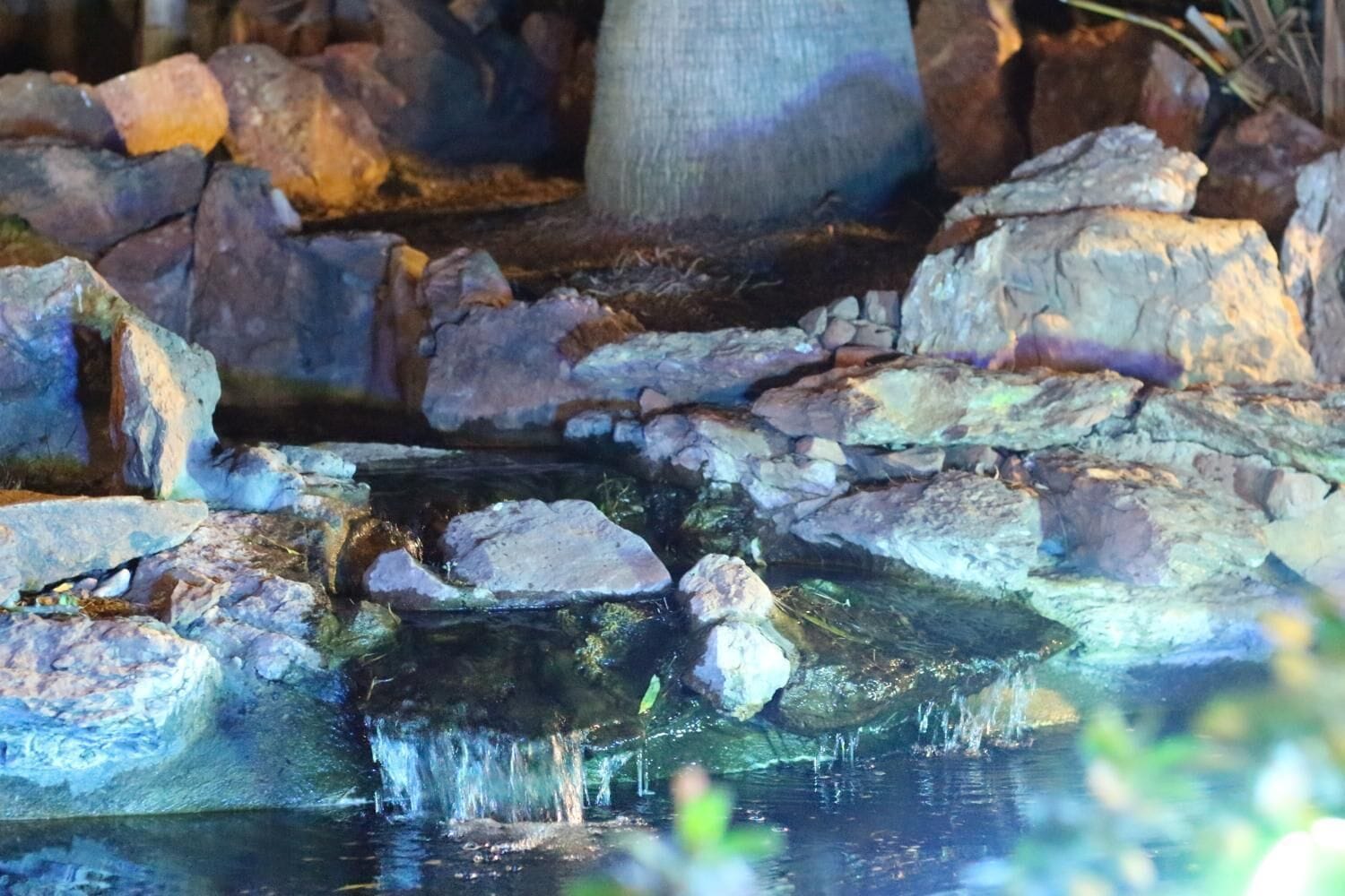 A small, illuminated water feature with rocks and a tree in the background.