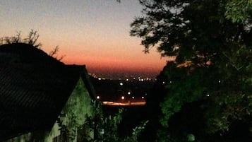 A nighttime view of a residential area with houses and a distant cityscape.