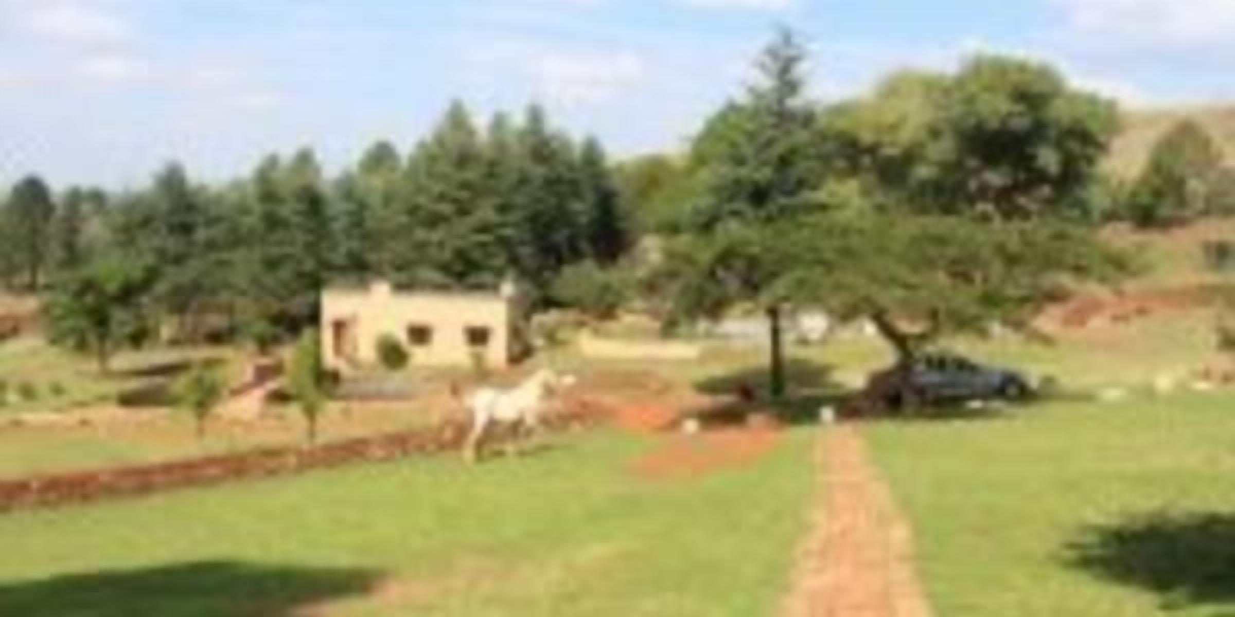 A rural landscape with a dirt path leading to a small building, surrounded by trees and open fields.