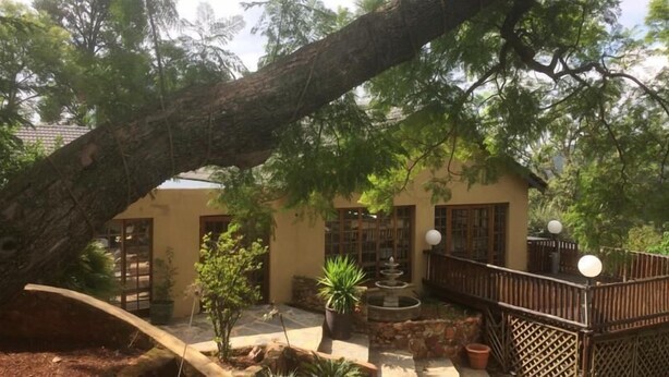 A courtyard with a large tree, a fountain, and a building with a balcony. - The Cradle Rest (Muldersdrift)