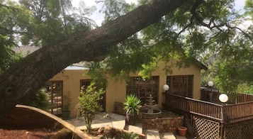 Un patio con un árbol grande, una fuente y un edificio con un balcón.