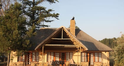 Ardmore Guest Farm