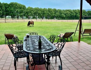 Cottage, Mountain View | Terrace/patio - Ardmore Guest Farm (Ardmore)