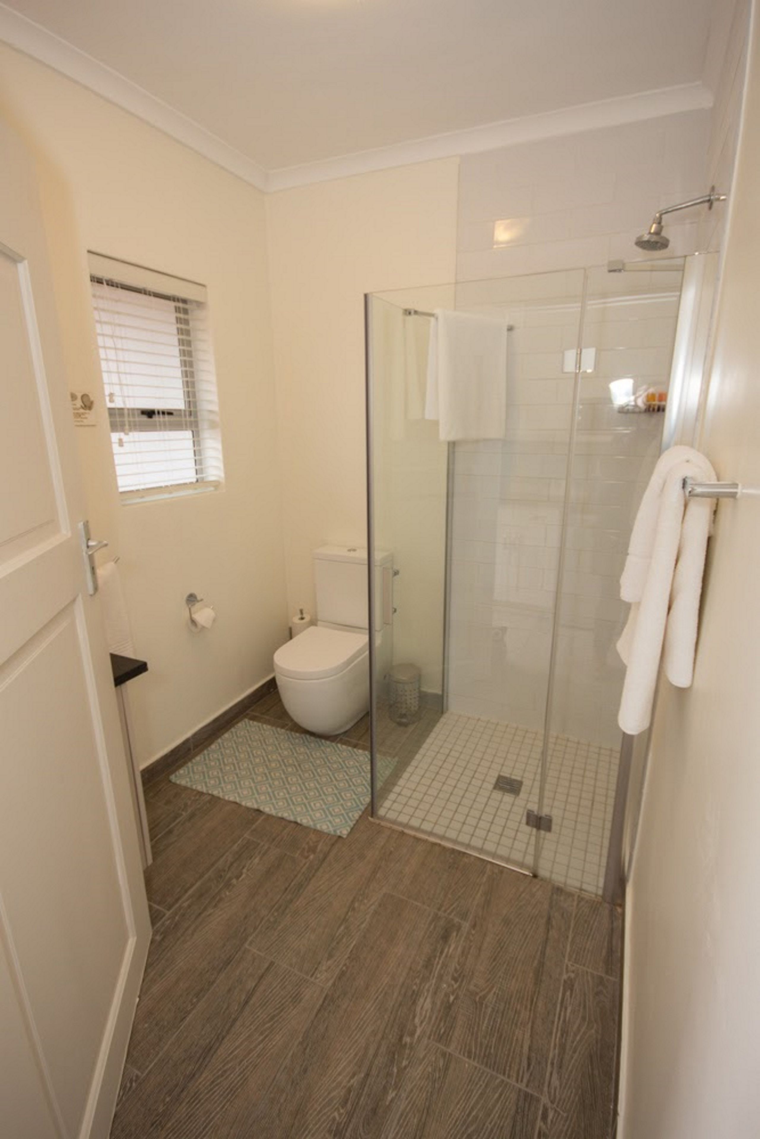 A bathroom with a toilet, a glass-enclosed shower, and a patterned rug on the floor.