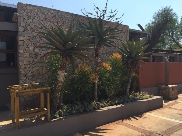 Vista desde la propiedad