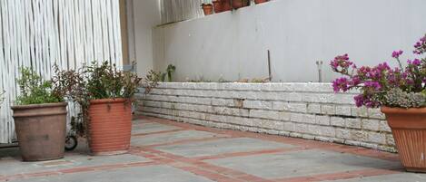 A courtyard with potted plants and a white wall.
