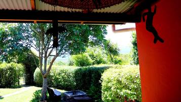 A view from a window overlooking a garden with a tree, a fire pit, and a bench.