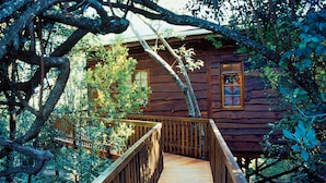 A wooden cabin with a wooden deck leading to the entrance. - Moon Shine on Whiskey Creek (The Crags)