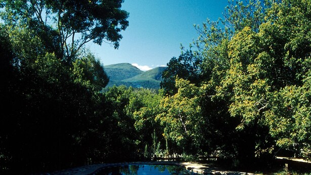 A clear blue pool surrounded by lush greenery and trees, with a mountain in the background. - Moon Shine on Whiskey Creek (The Crags)