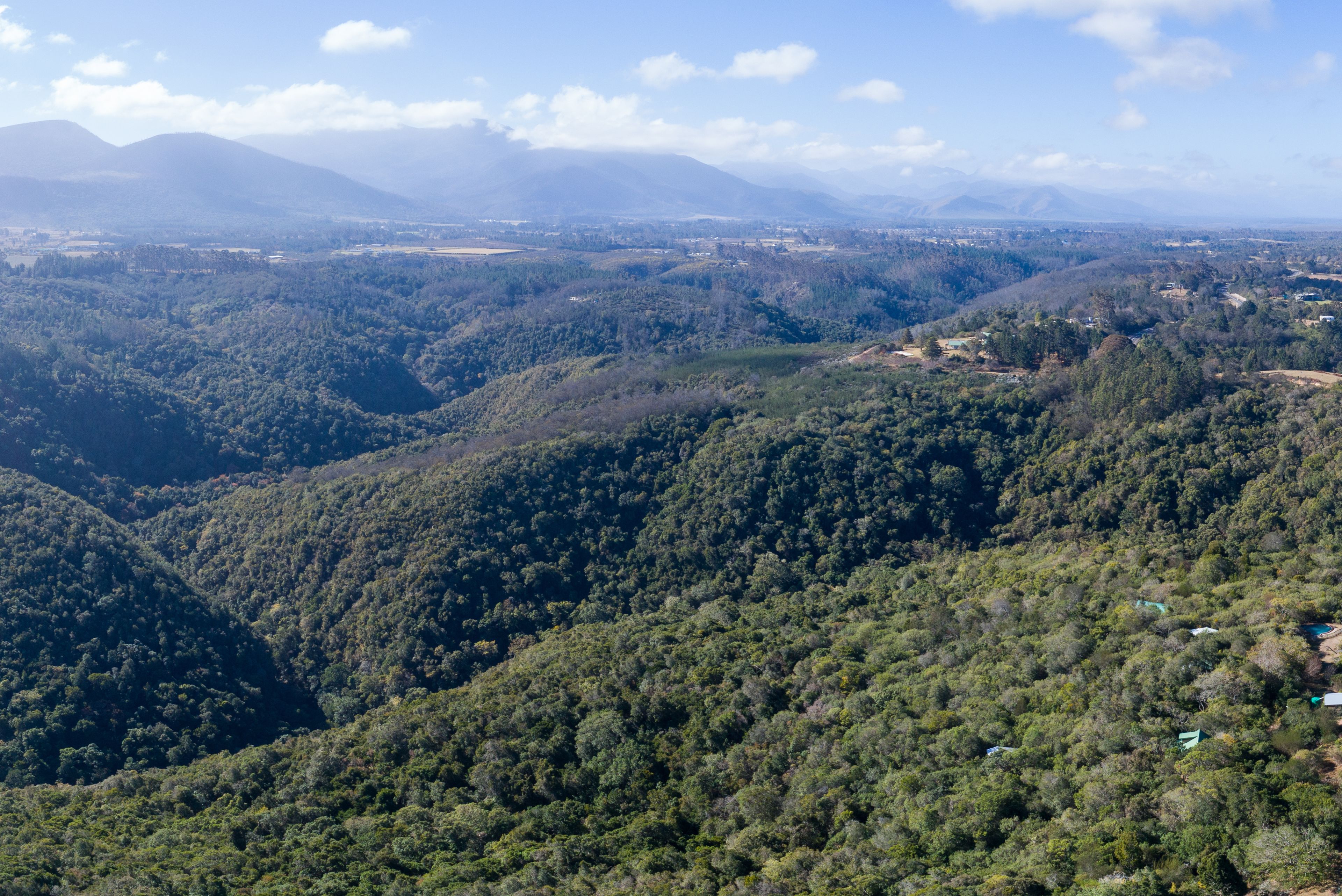 A mountainous landscape with dense forests and scattered buildings.