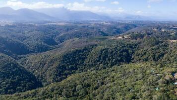 A mountainous landscape with dense forests and scattered buildings.