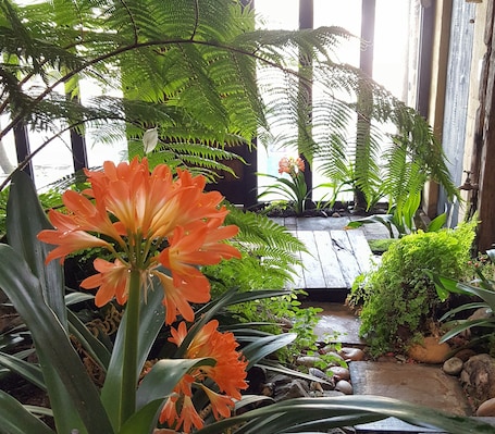 First Floor Studio: King (2) | In-room safe, blackout drapes, iron/ironing board, free WiFi. Hornbill House