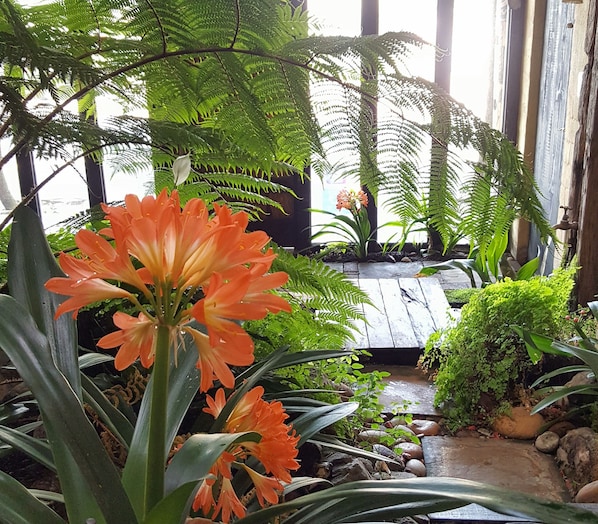 First Floor Studio: King (2)