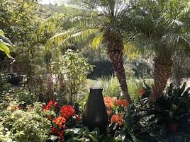 Un jardín con diversas plantas y flores, incluyendo una palmera grande y una maceta decorativa.