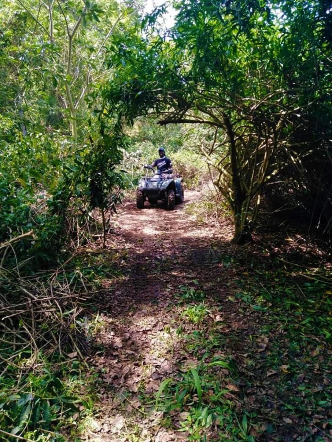 A person riding an ATV on a dirt path surrounded by dense foliage.