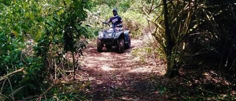 Une personne conduisant un véhicule tout-terrain sur un chemin de terre, entourée d’une végétation dense.