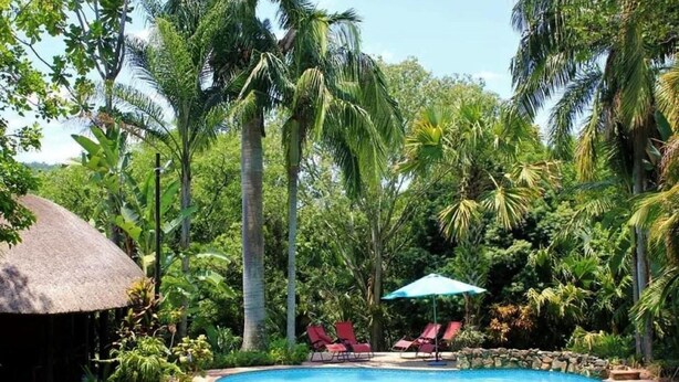 Una piscina rodeada de palmeras y una estructura con techo de paja.