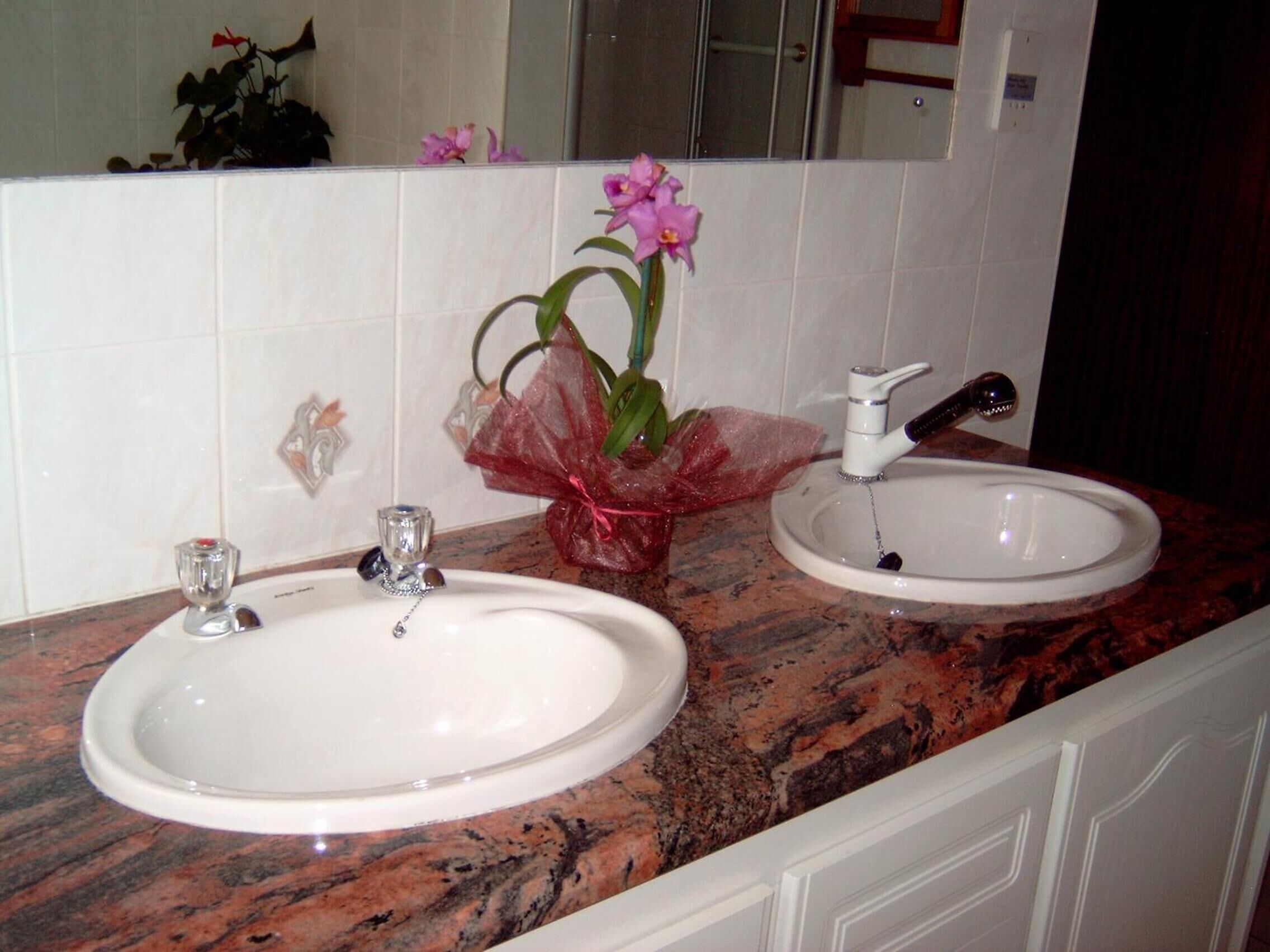 A bathroom with two sinks, a mirror, and a decorative plant.