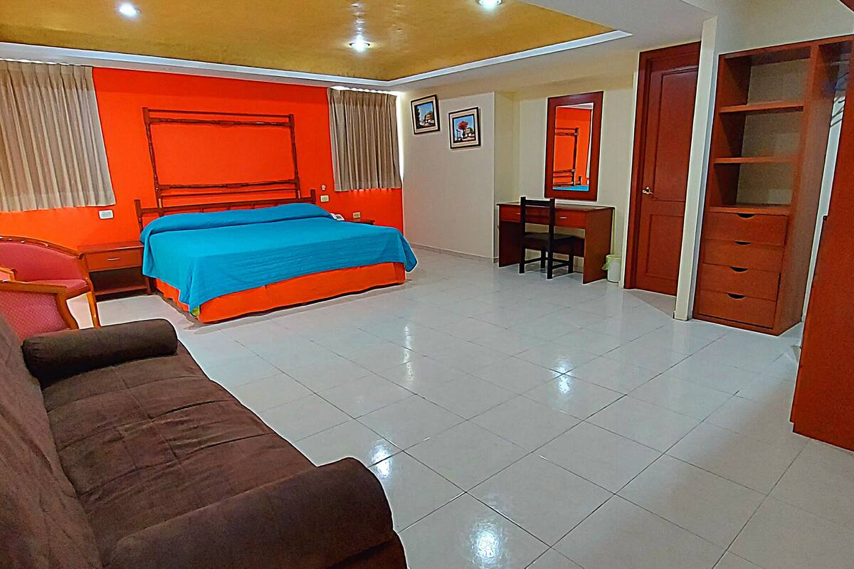 A hotel room with a bed, a desk, a chair, a wardrobe, and a sofa.