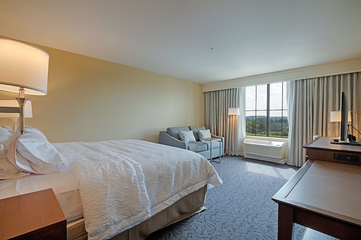 Une chambre d’hôtel avec un grand lit, un bureau, une chaise et une vue sur l’extérieur.