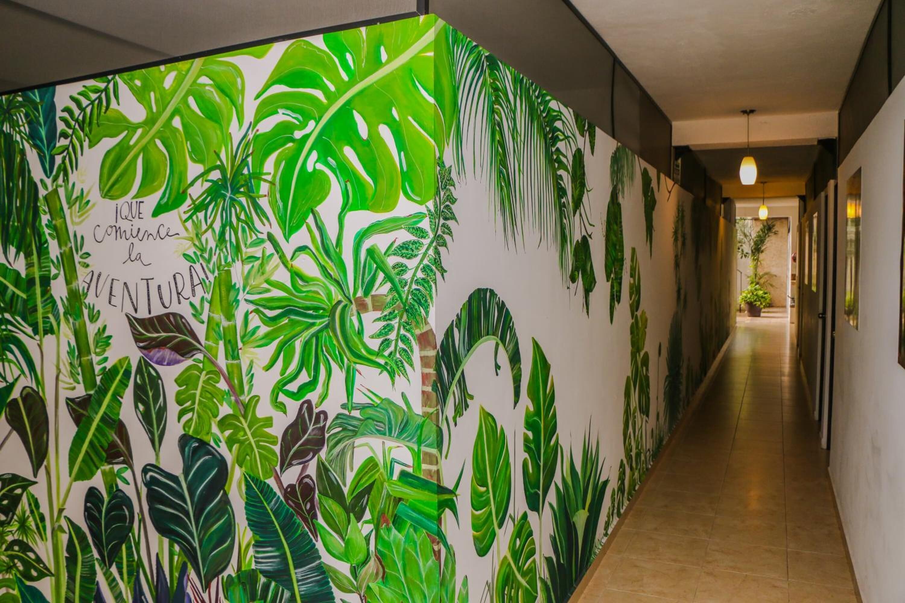 Foto - Hostal Gayser