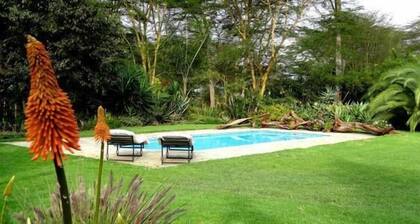 Hibiscus Guest House