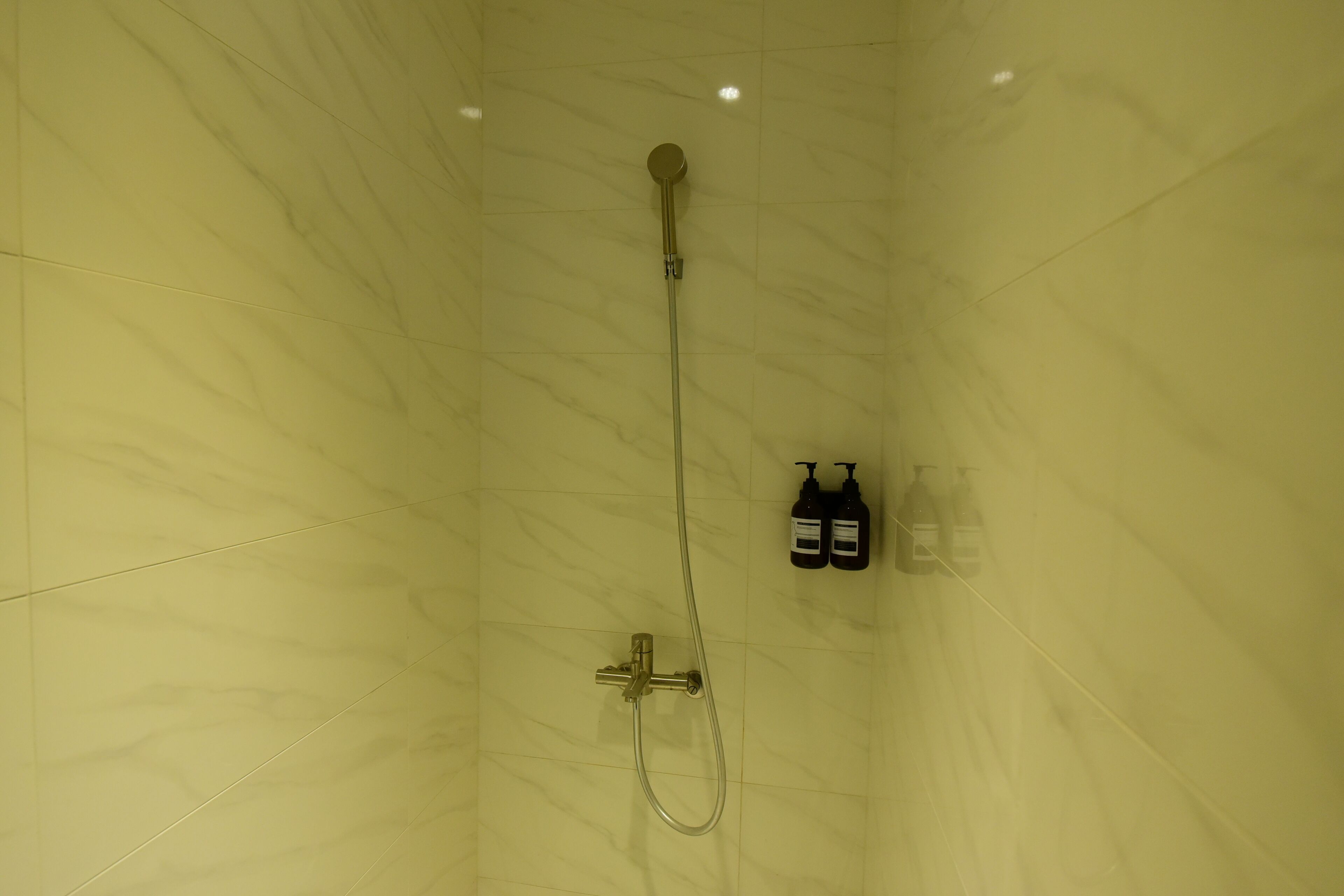 Une salle de bain avec une douche, un pommeau de douche amovible et deux bouteilles de shampoing et d’après-shampoing fixées au mur.