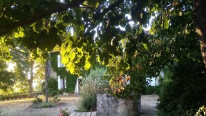 A wooden picnic table with a potted plant in a garden area with trees and a stone structure. - Le Domaine du Bouchon (Gans)